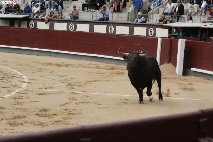 Las Ventas hoy con Rubén Sanz. Santos Gómez