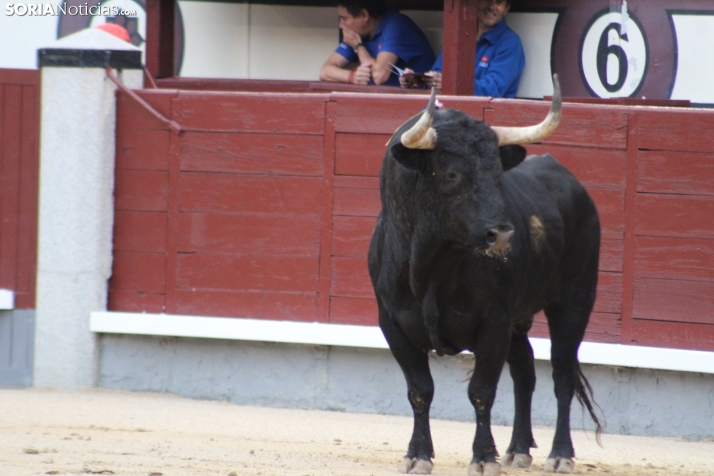 Las Ventas hoy con Rubén Sanz. Santos Gómez