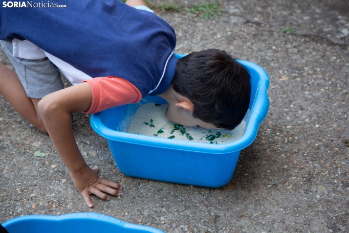 Jueves Chopero 2025 Almazán