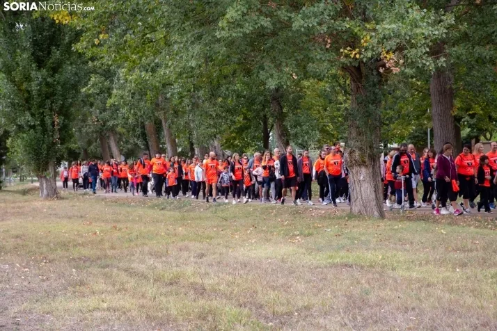 Marcha contra el cáncer Almazán