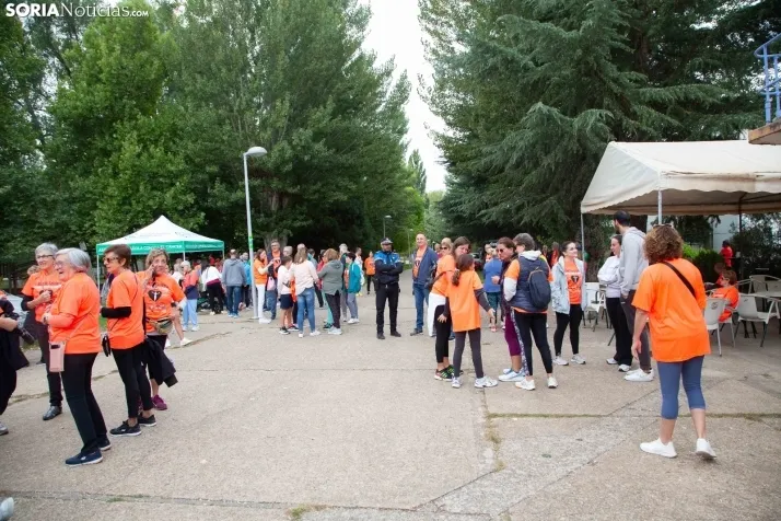 Marcha contra el cáncer Almazán