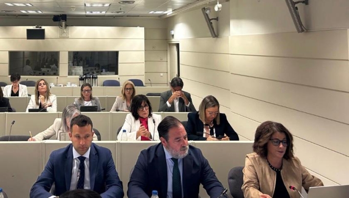 El Senado aprueba exigir al Gobierno las ayudas a Soria y la obra de El Burgo