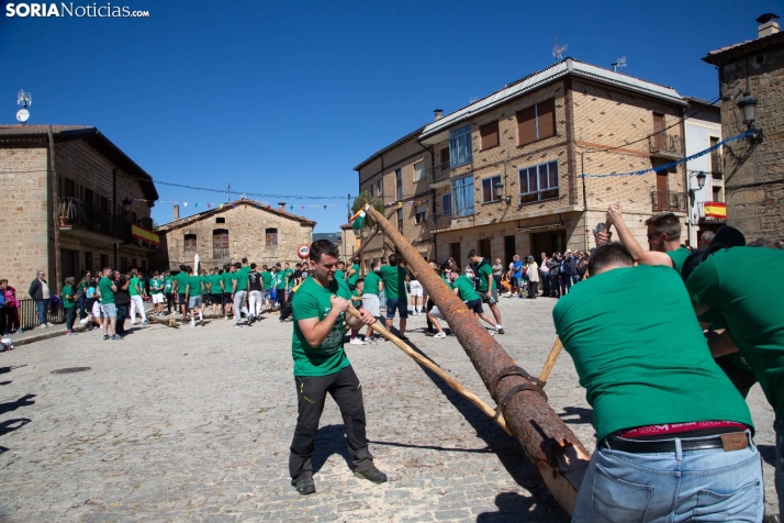 Pingada del Mayo en Duruelo