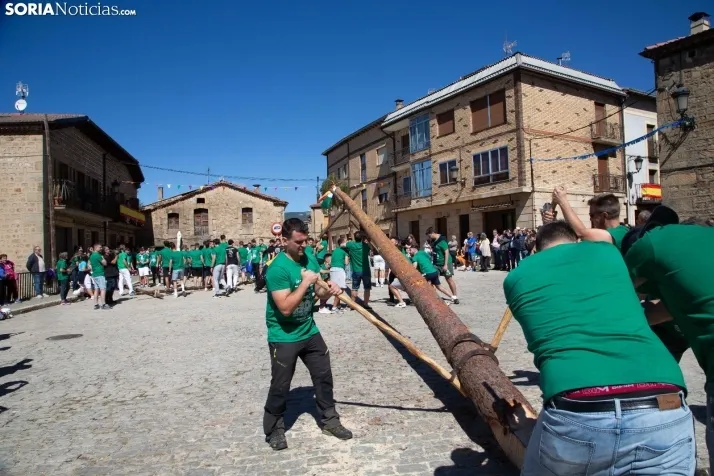 Pingada del Mayo en Duruelo