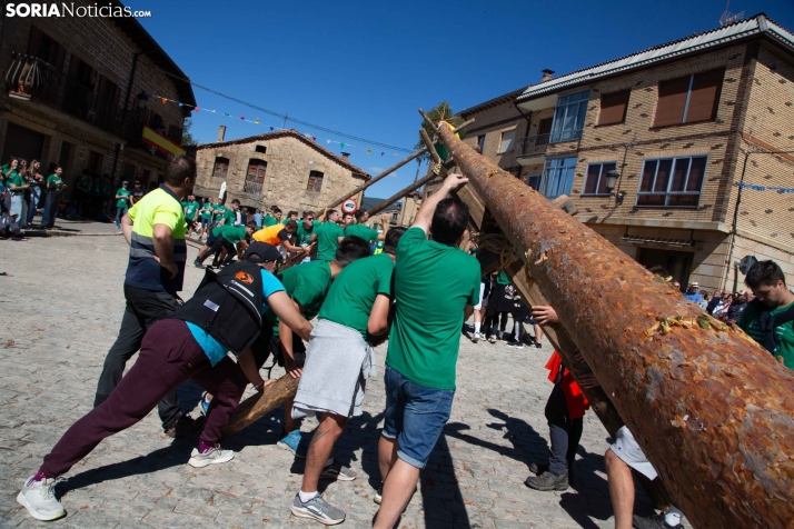 Pingada del Mayo en Duruelo