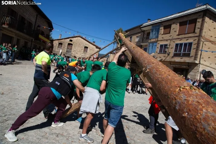 Pingada del Mayo en Duruelo
