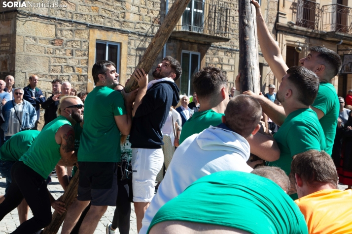 Pingada del Mayo en Duruelo