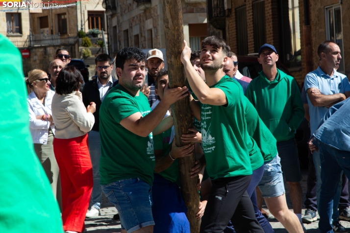 Pingada del Mayo en Duruelo