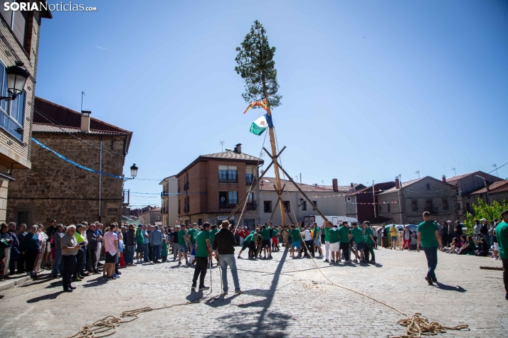 Pingada del Mayo en Duruelo