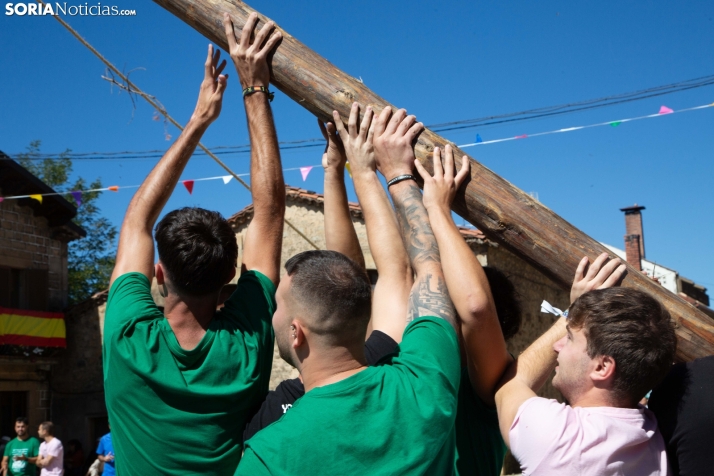 Pingada del Mayo en Duruelo