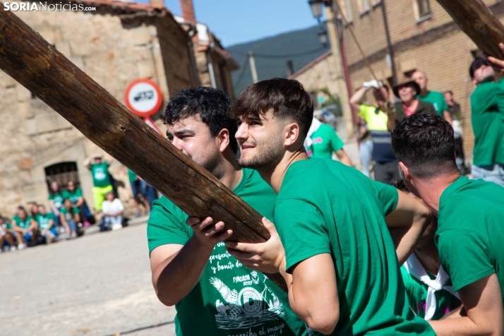 Pingada del Mayo en Duruelo