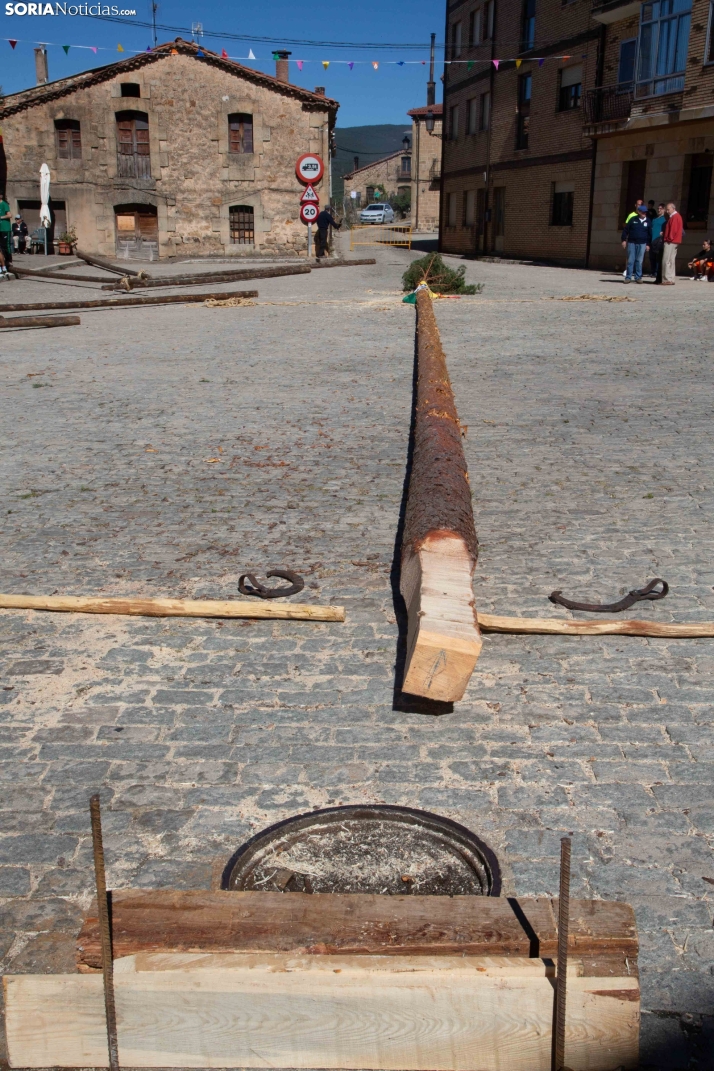 Pingada del Mayo en Duruelo