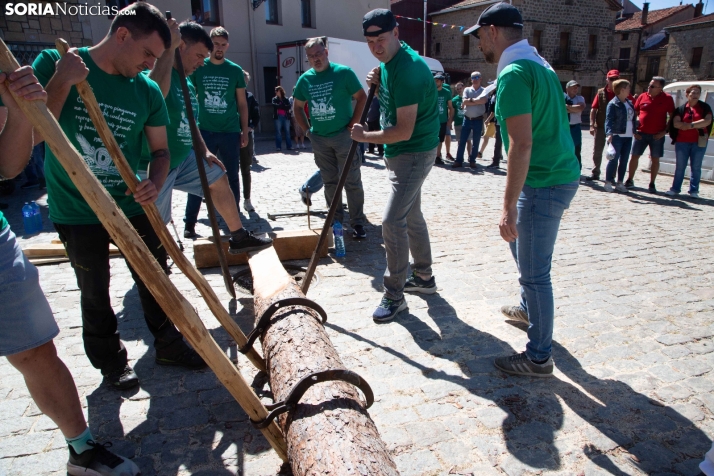 Pingada del Mayo en Duruelo