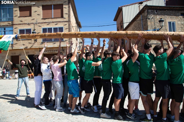 Pingada del Mayo en Duruelo