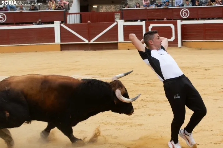 Recortadores