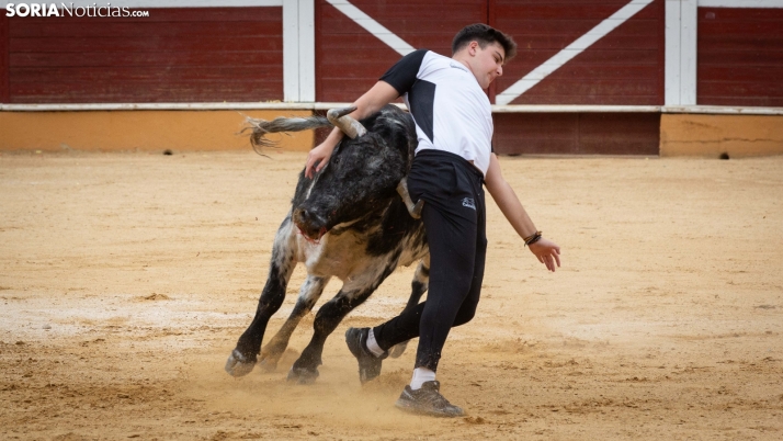 Galería | Agilidad, técnica y valor se dan cita durante los recortes en la plaza de toros de Soria