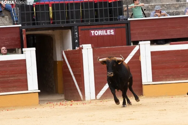 Recortadores