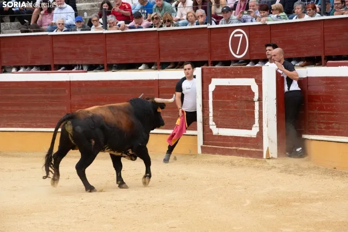 Recortadores
