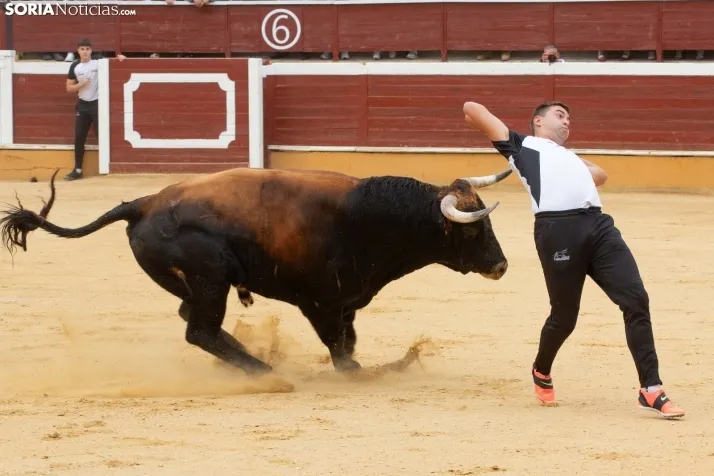 Recortadores