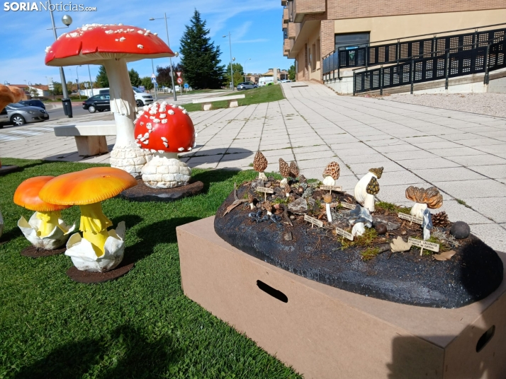 Del campo a la ciudad: El Ayuntamiento de Soria presenta su nueva colecci&oacute;n de esculturas micol&oacute;