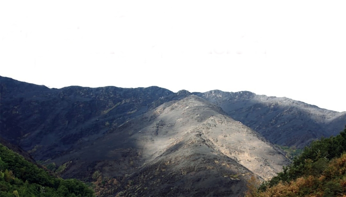 El plan de recuperación por los incendios de la Junta avanza con tres de cada cuatro medidas en marcha