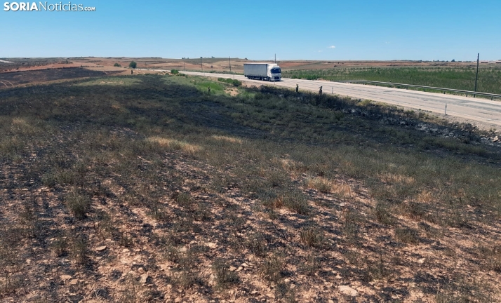 Los ganaderos de Soria afectados por incendios ya pueden pedir ayudas para reponer sus vallados