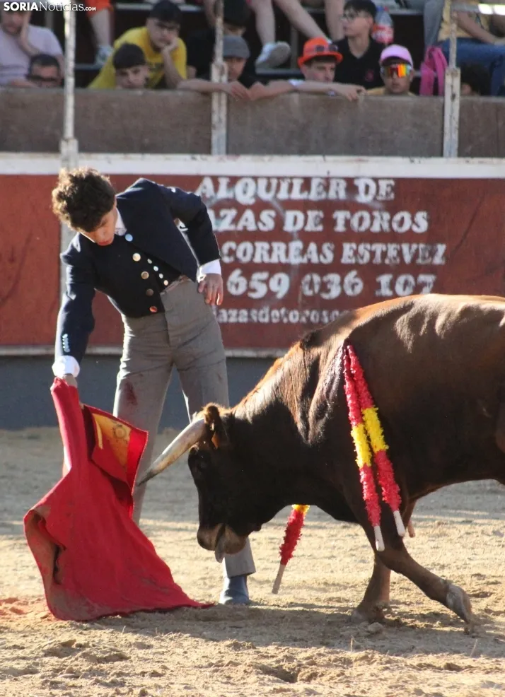 En im&aacute;genes: Festival sin picadores en San Esteban de Gormaz con gran actuaci&oacute;n de Rub&eacute;n 