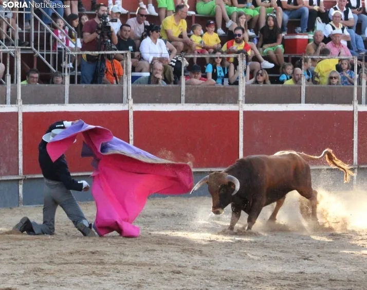 En im&aacute;genes: Festival sin picadores en San Esteban de Gormaz con gran actuaci&oacute;n de Rub&eacute;n 