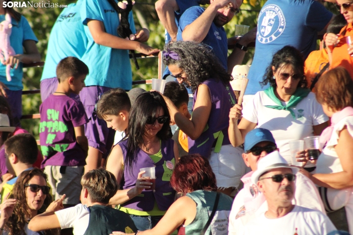 En im&aacute;genes: Festival sin picadores en San Esteban de Gormaz con gran actuaci&oacute;n de Rub&eacute;n 