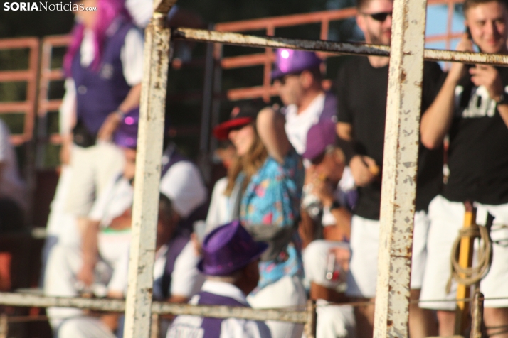 En im&aacute;genes: Festival sin picadores en San Esteban de Gormaz con gran actuaci&oacute;n de Rub&eacute;n 