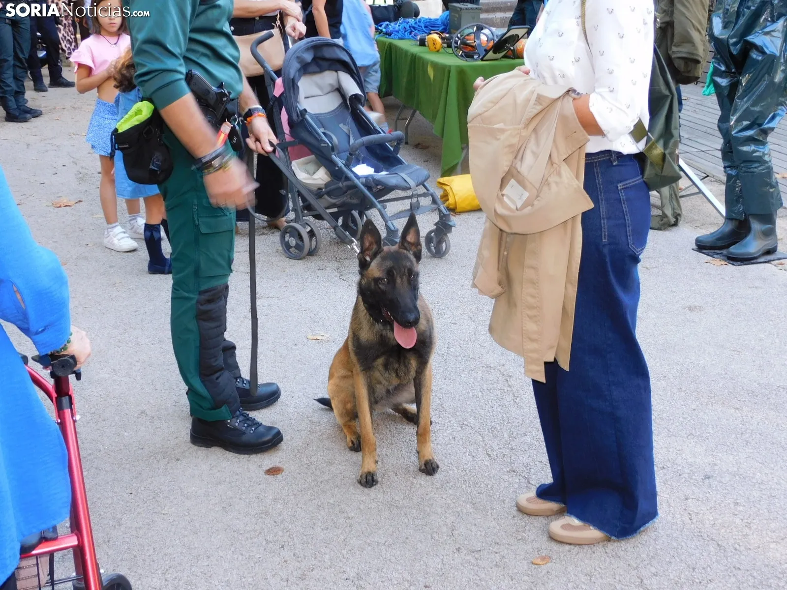 Exhibición de la Guardia Civil en Soria.