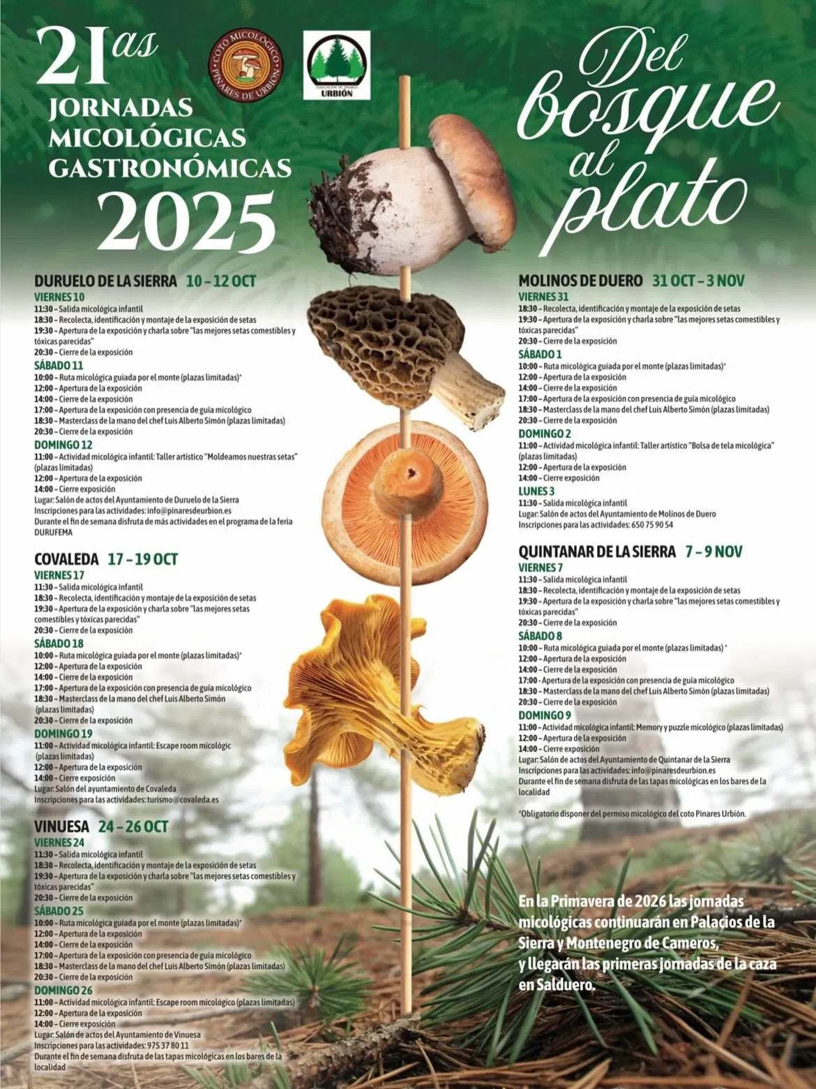 Foto 2 - Pinares activa su micolog&iacute;a con sus jornadas 'Del bosque al plato'