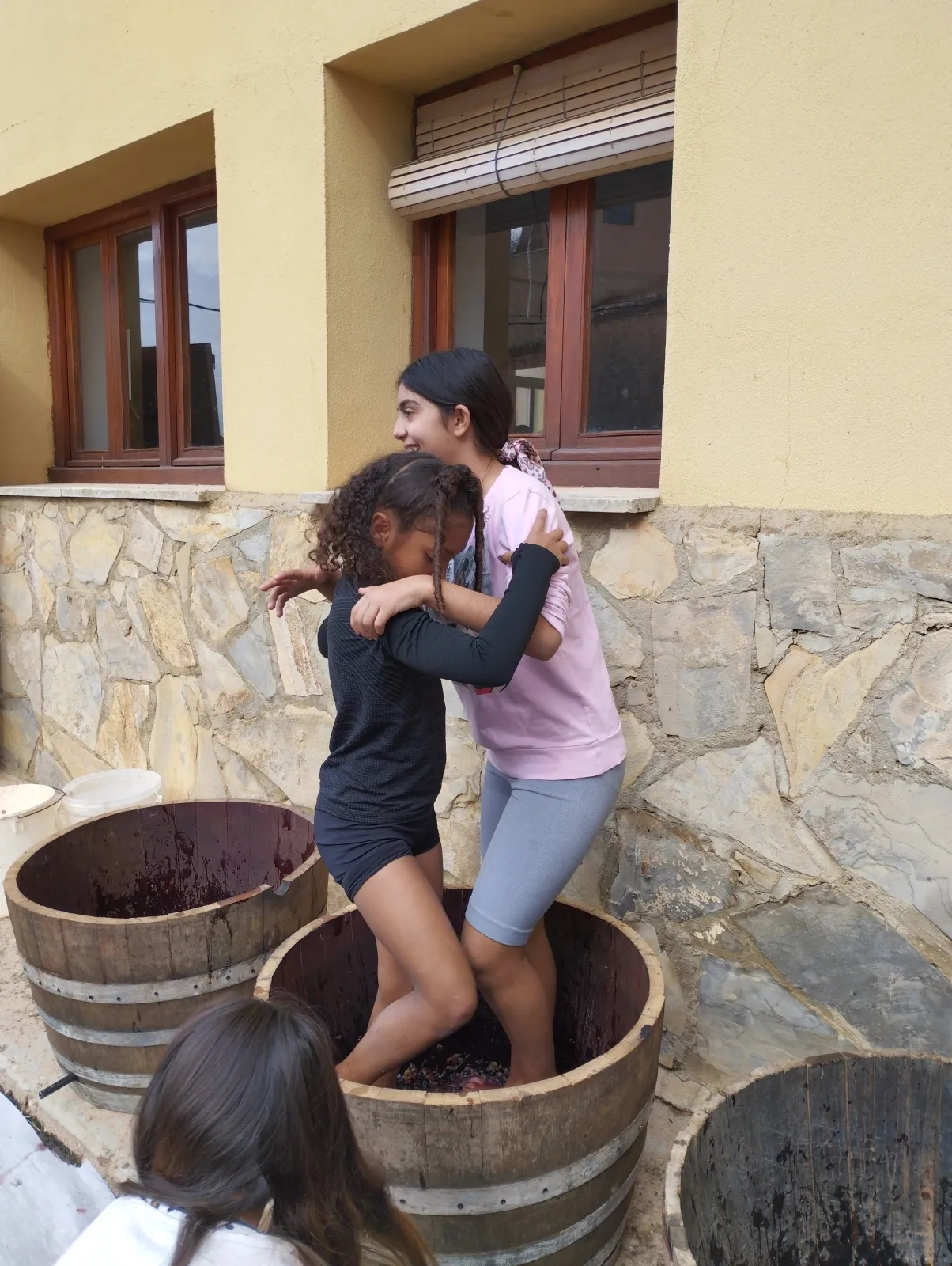 Los niños pisan la uva en Quintanilla de Tres Barrios.