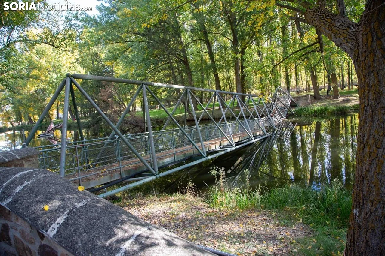 Pasarela caída sobre el río Duero. María Ferrer