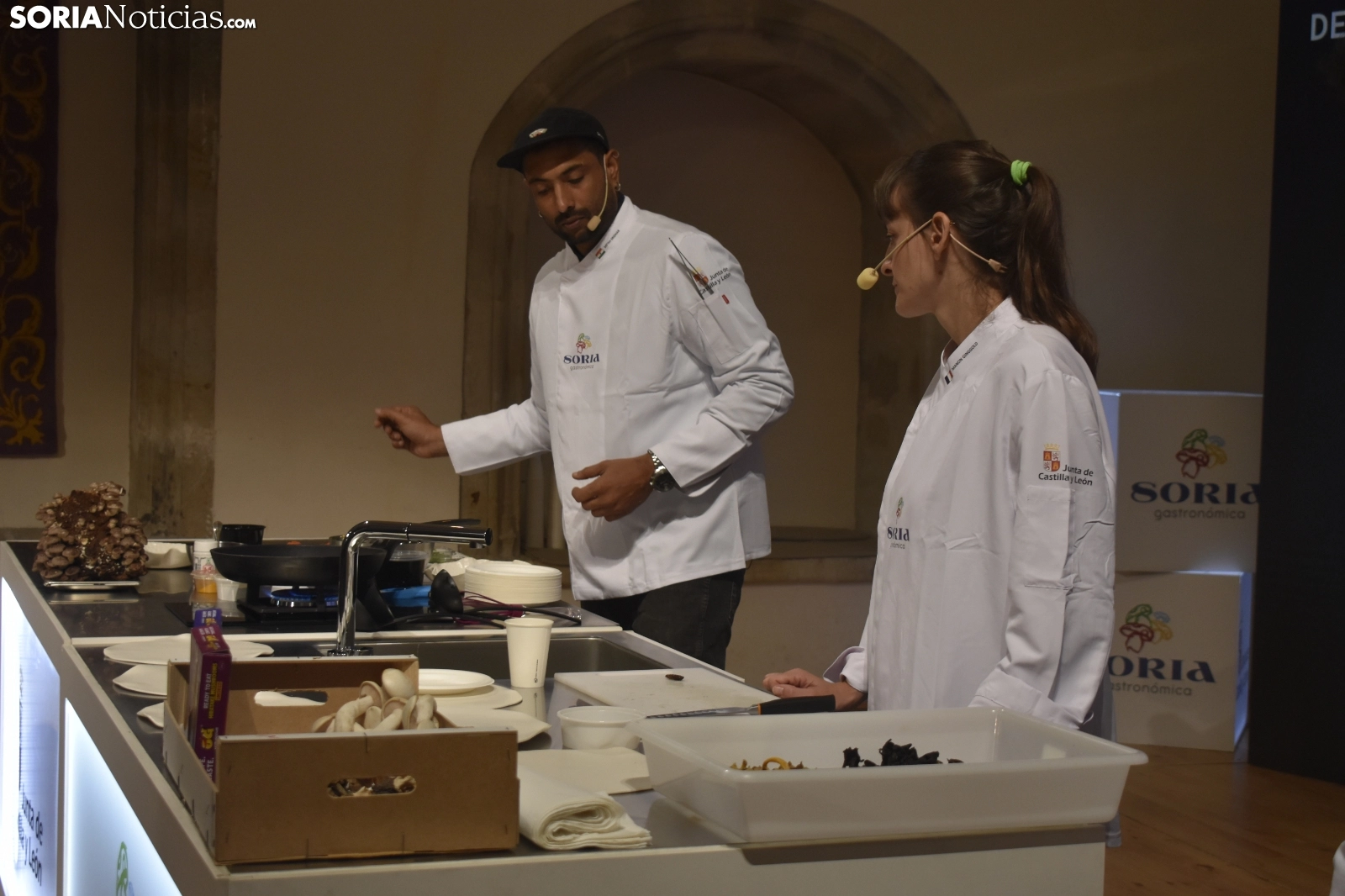 Ponencia Setas en La India de Soria Gastronómica.