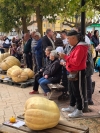 XII Concurso de Calabazas Gigantes organizado por la Coral Villa de San Esteban.