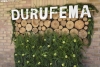 Durufema 2025, en Duruelo de la Sierra.