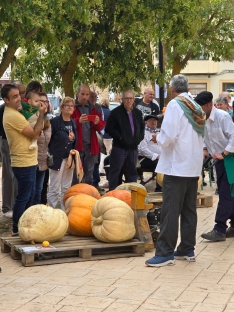 XII Concurso de Calabazas Gigantes organizado por la Coral Villa de San Esteban.