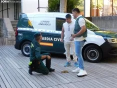 Exhibición de la Guardia Civil en Soria.