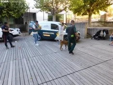 Exhibición de la Guardia Civil en Soria.