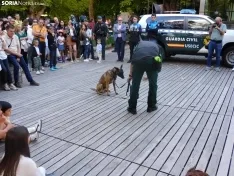 Exhibición de la Guardia Civil en Soria.