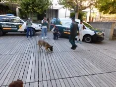 Exhibición de la Guardia Civil en Soria.