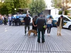 Exhibición de la Guardia Civil en Soria.