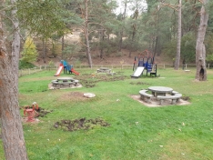 Foto 6 - Los jabalíes causan graves destrozos en las inmediaciones del campo de fútbol de San Leonardo