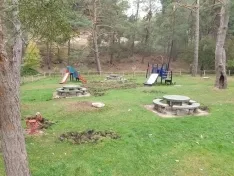 Foto 6 - Los jabal&iacute;es causan graves destrozos en las inmediaciones del campo de f&uacute;tbol de San Leonardo