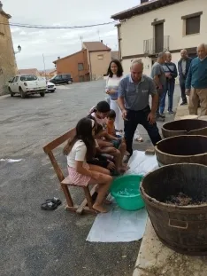 Los niños pisan la uva en Quintanilla de Tres Barrios.