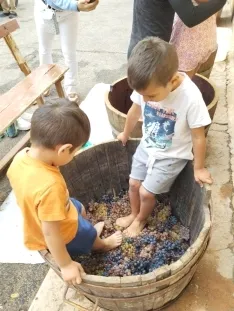 Los niños pisan la uva en Quintanilla de Tres Barrios.