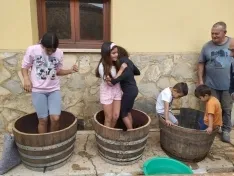 Los niños pisan la uva en Quintanilla de Tres Barrios.