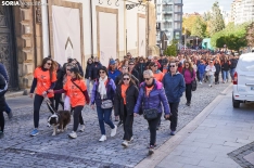  El Camino contra el Cáncer