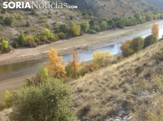 Foto 3 - Fotos: &iquest;Recuerdas el r&iacute;o Duero pr&aacute;cticamente seco a su paso por Soria?